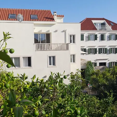 Appartement Lemon Tree *